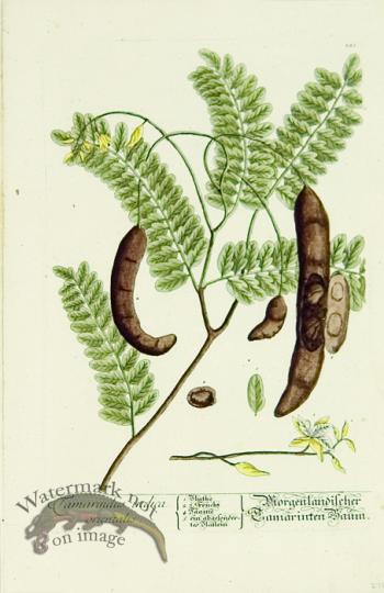 Blackwell German 121